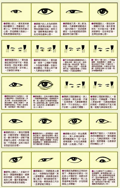 面相 眼型|面相看眼睛教学：决定人生运势的眼型 （下篇）